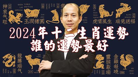 今年屬龍的運勢|2024龍年生肖運程｜屬龍/蛇/馬整體運勢，雲文子犯太 